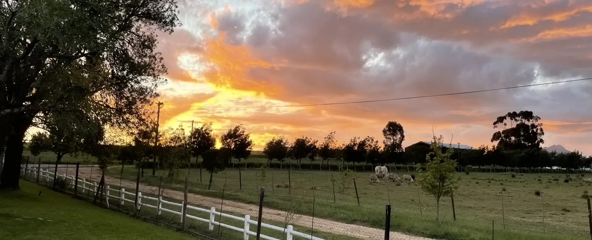 Klein Eikeboom Guest Farm & Cottages