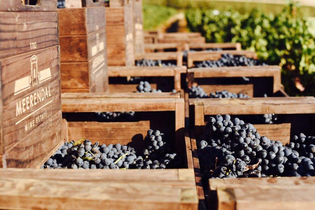 Meerendal Wine Estate