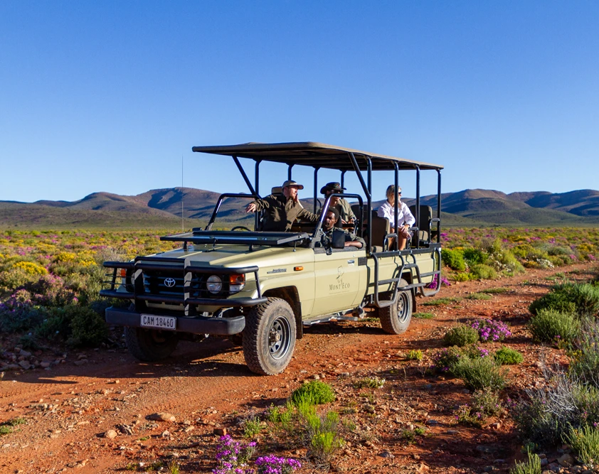 Mont Eco Private Game Reserve
