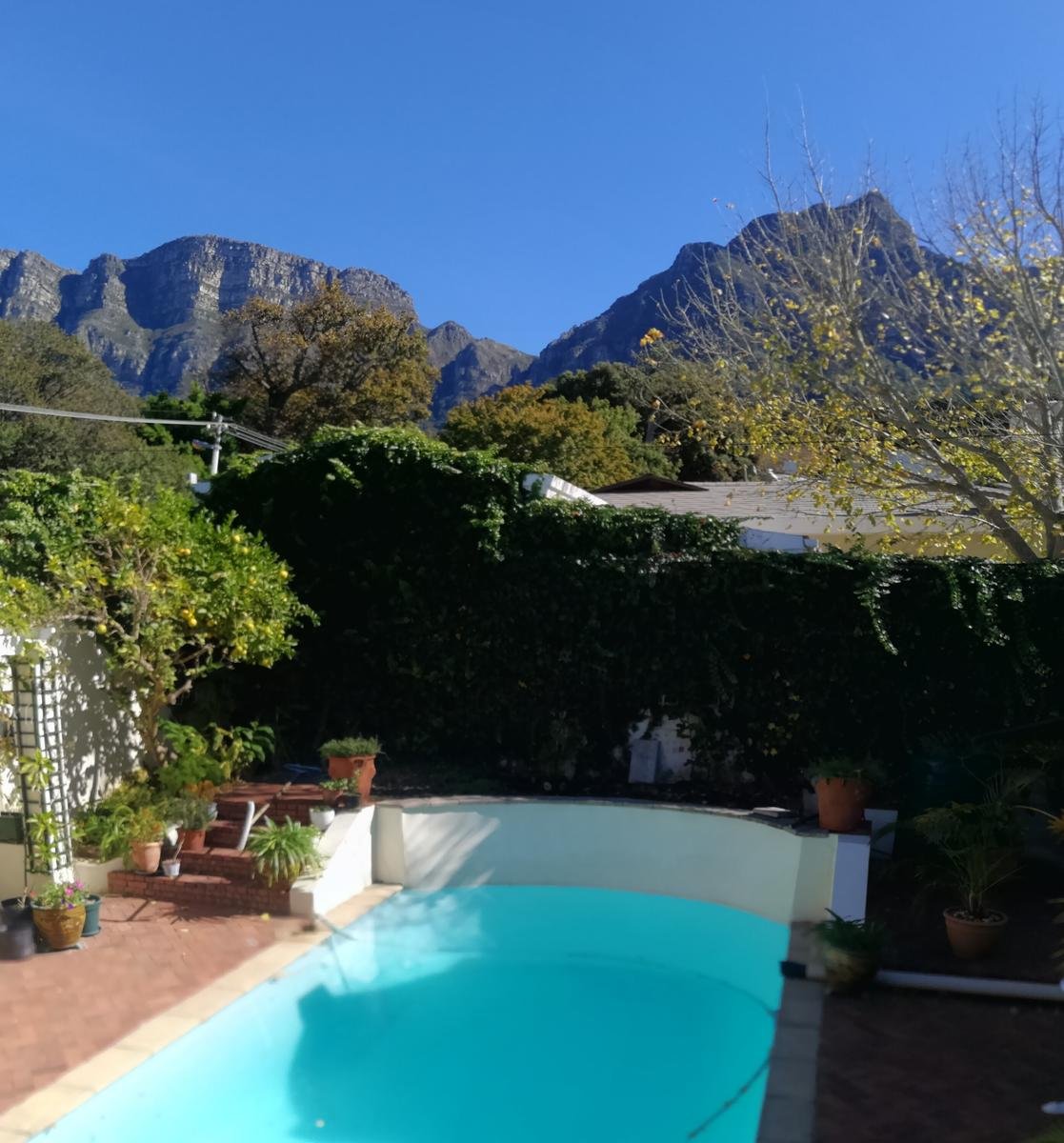 Newlands Guest House image 4