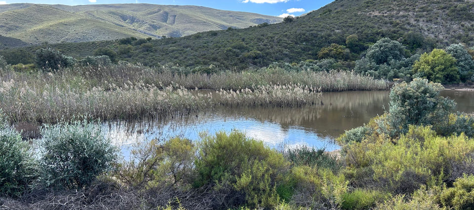 Ouberg Private Nature Reserve