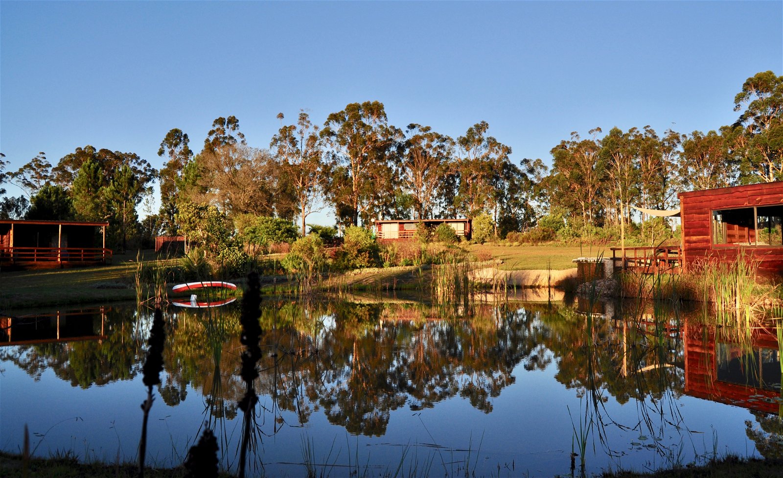 Amara Farm Home Accommodation