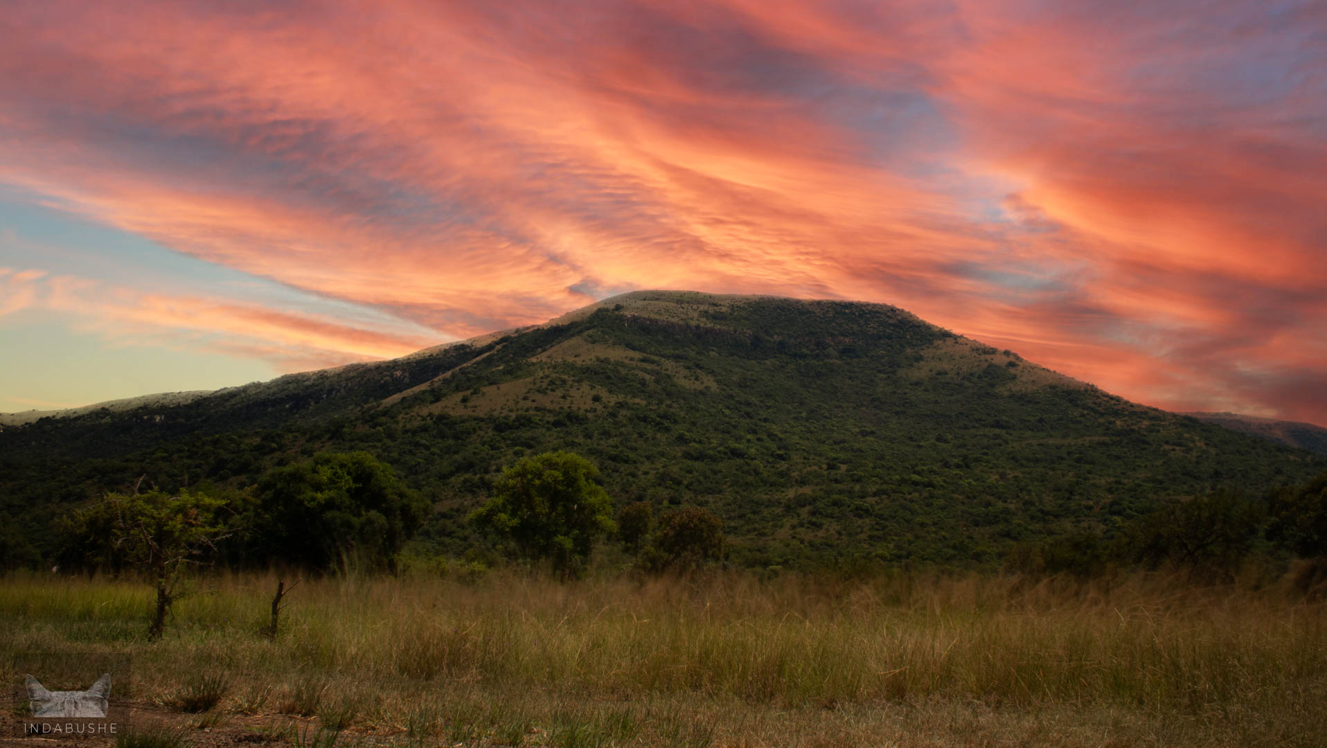Indabushe Eco Lodge