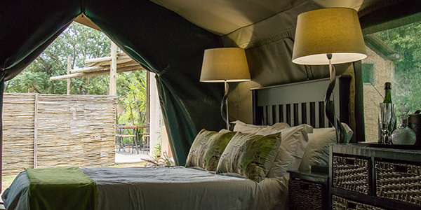 Alkmaar Farmstay