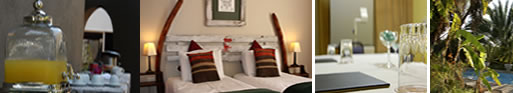 Bush Pillow Guest House in Otjiwarongo