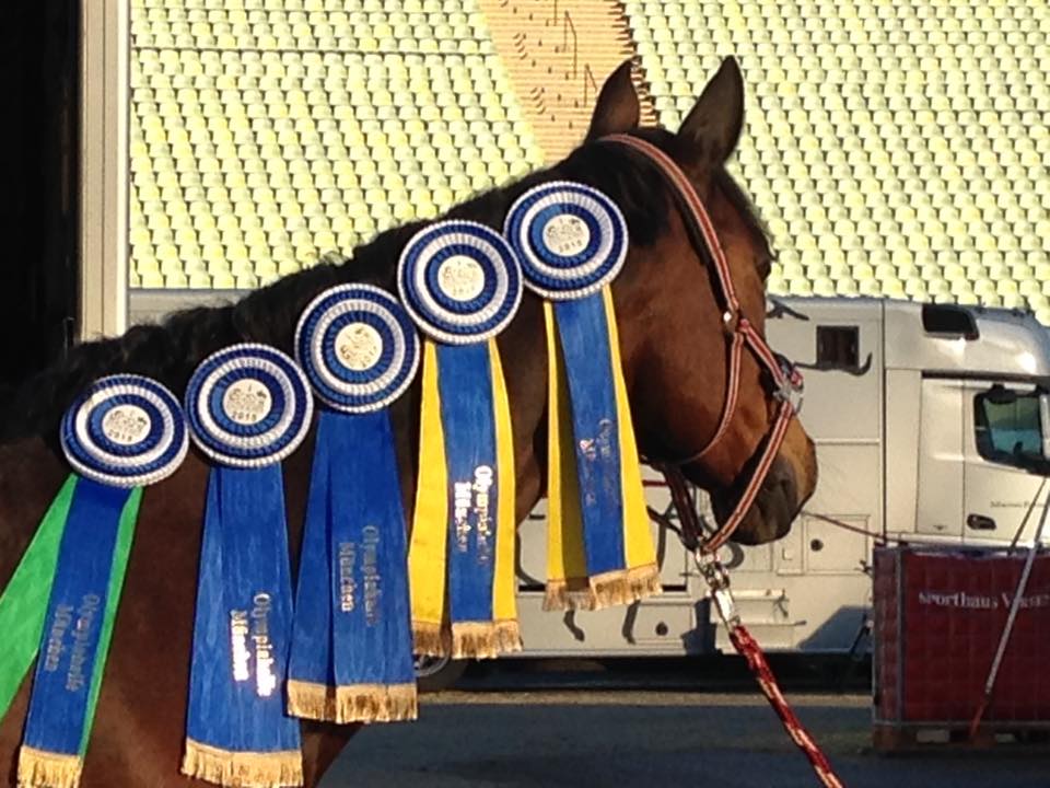 Dunkes Organic Equestrian Estate