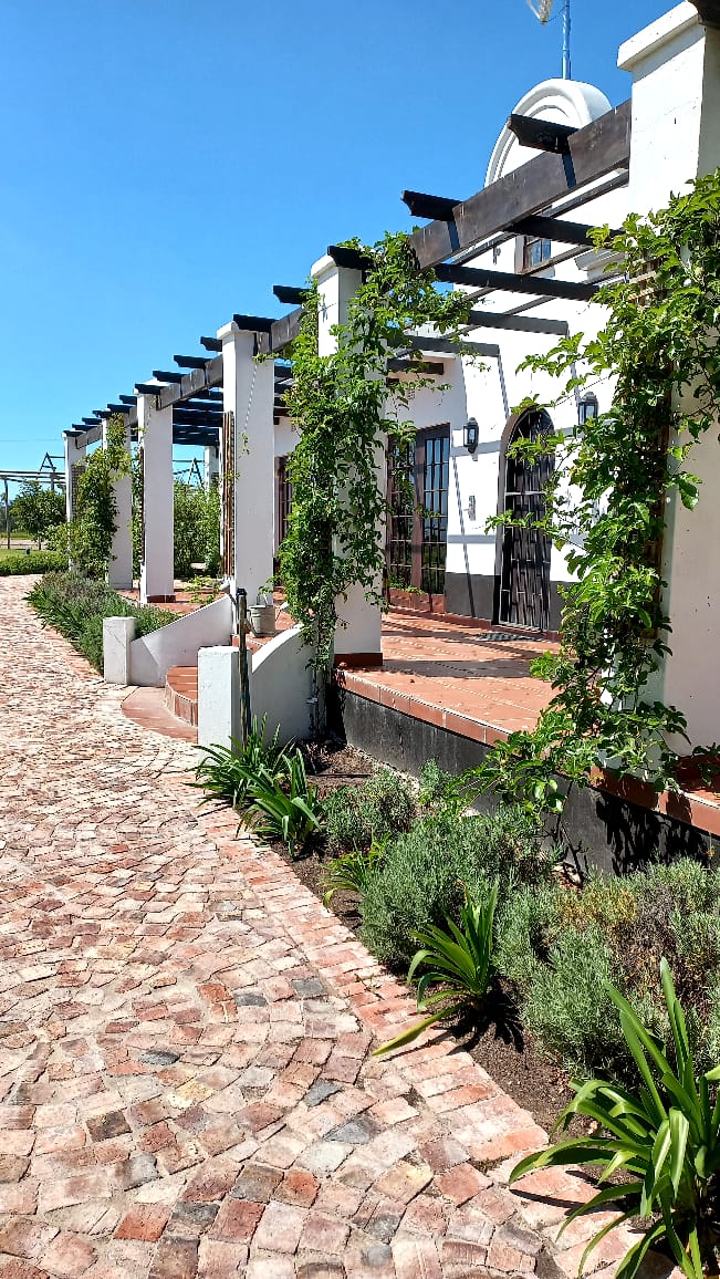 Dunkes Organic Equestrian Estate in Groot-Brakrivier 5