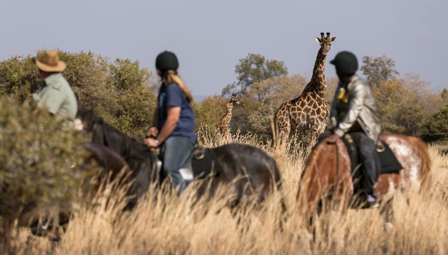 Itaga Luxury Private Game Lodge