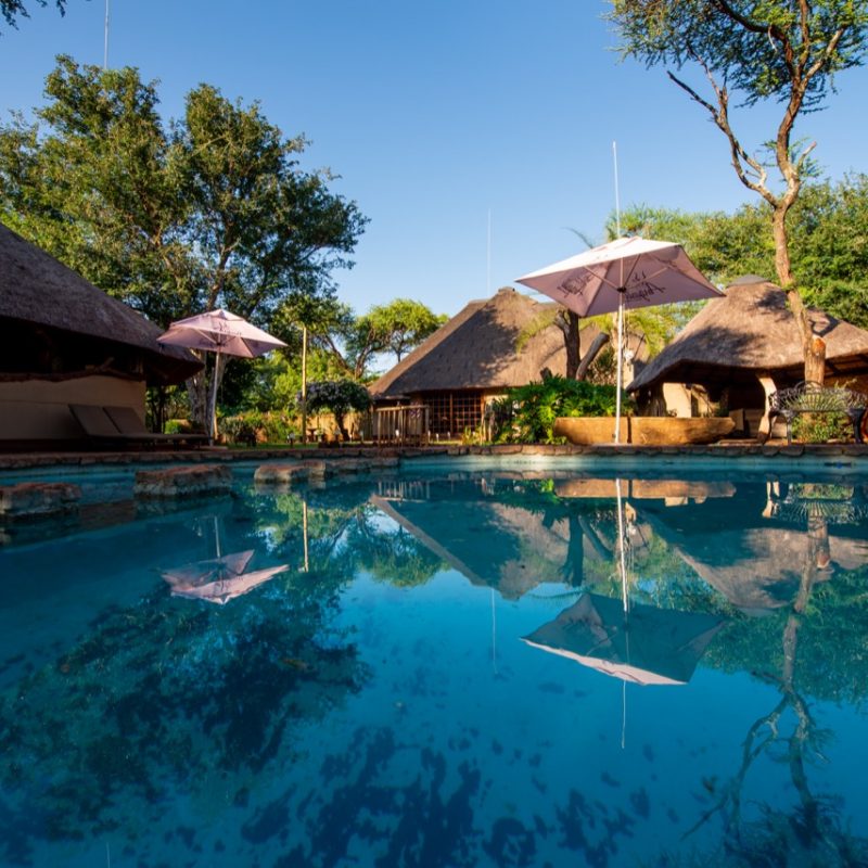 Angasii Game Lodge image 4