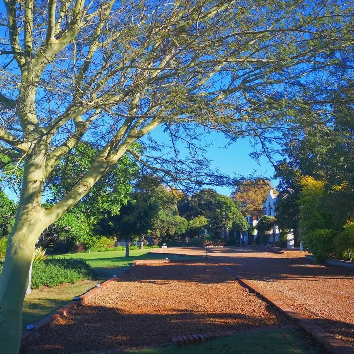 Treelined pathway with a building in the background under a blue sky
