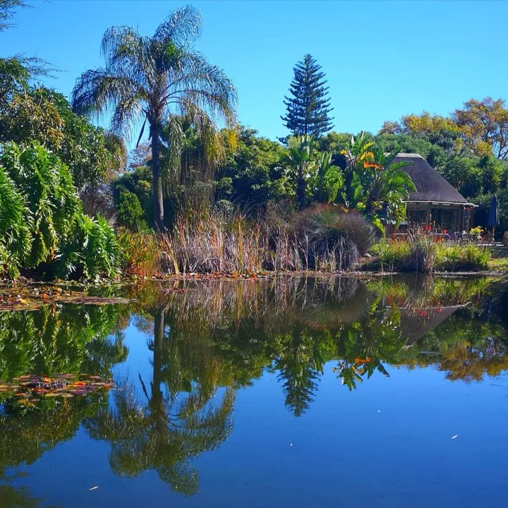 Tropical garden with pond palm trees and thatched hut under blue sky