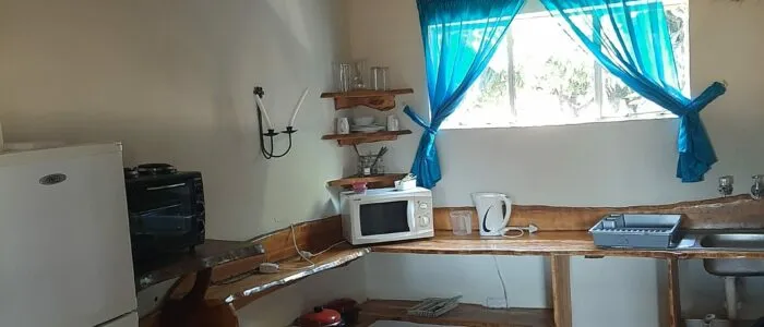 Small kitchen with microwave refrigerator and blue curtains on window