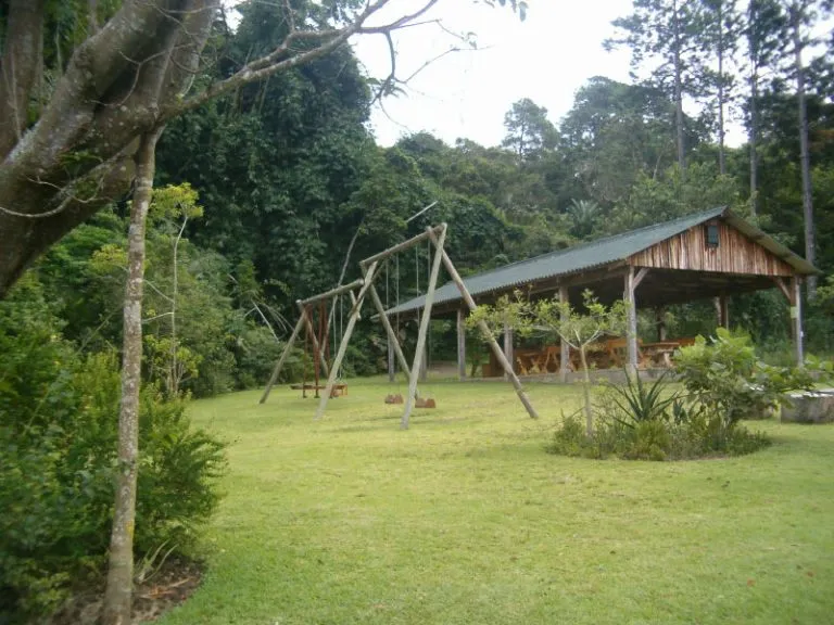 Playground with swings and a wooden shelter in a lush green forest