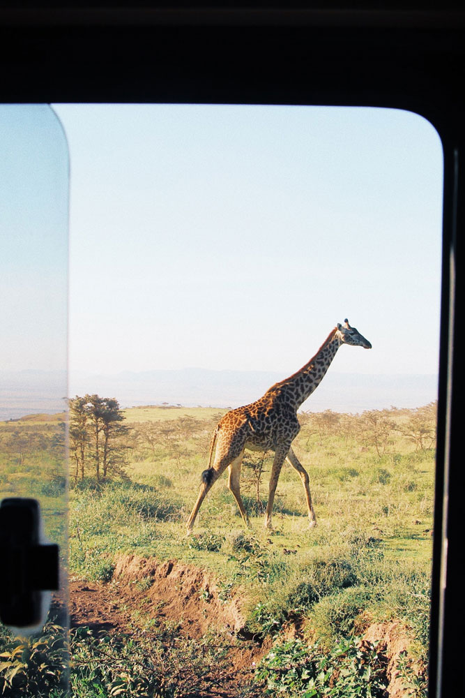 Lowes Africa Lodge