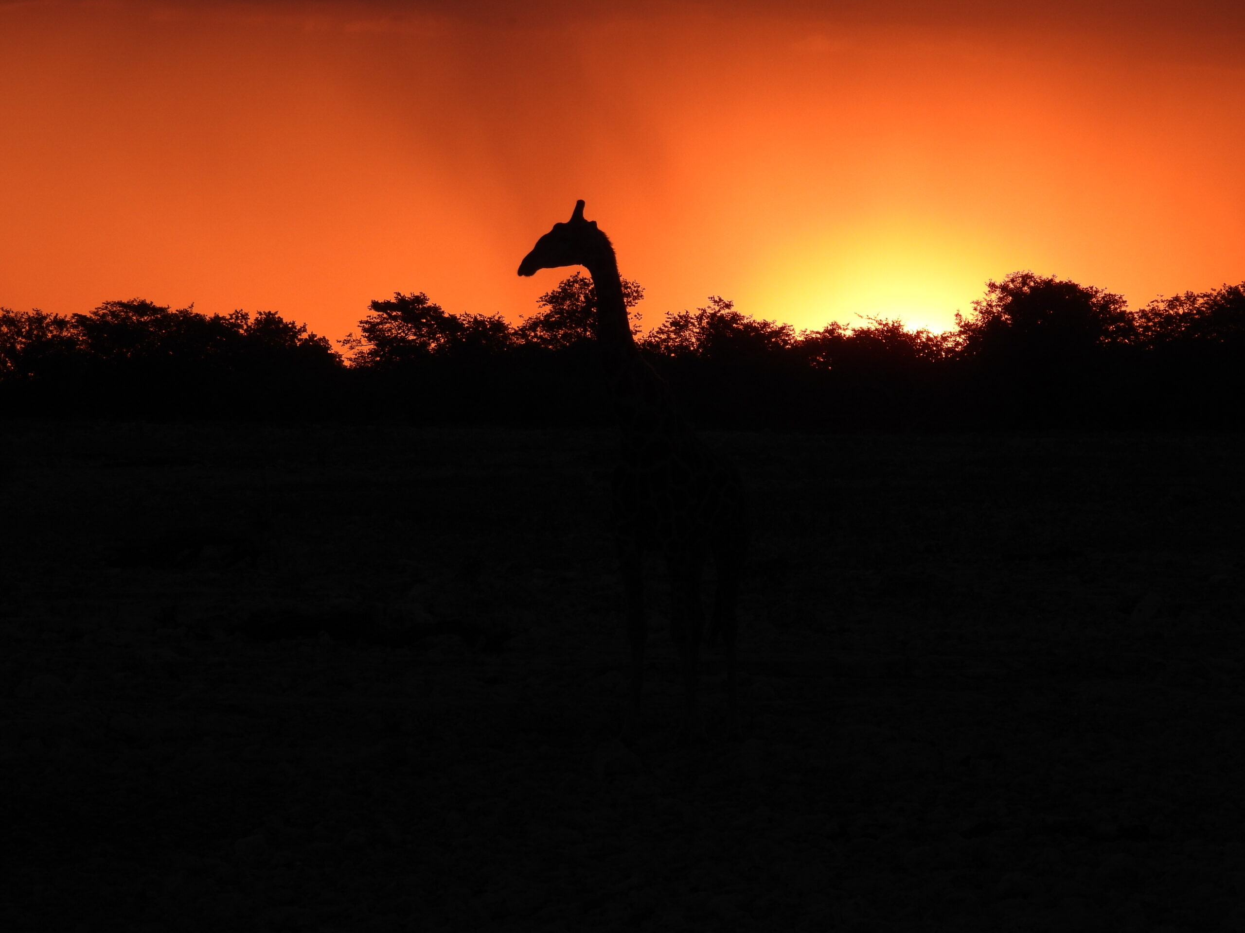 Lowes Africa Lodge