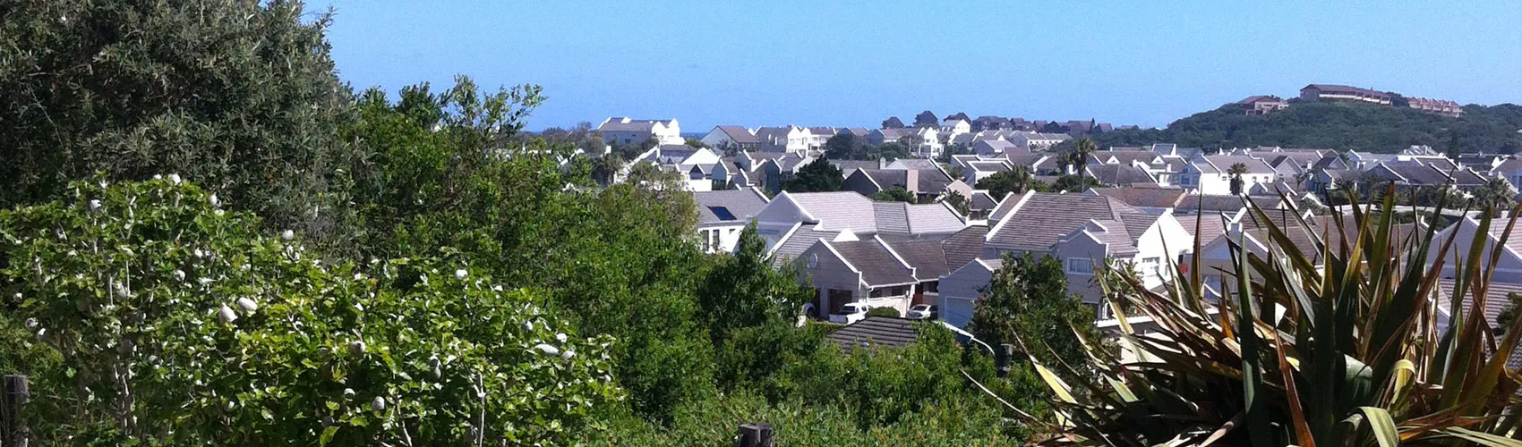 Suburban neighborhood with houses and greenery under a clear blue sky