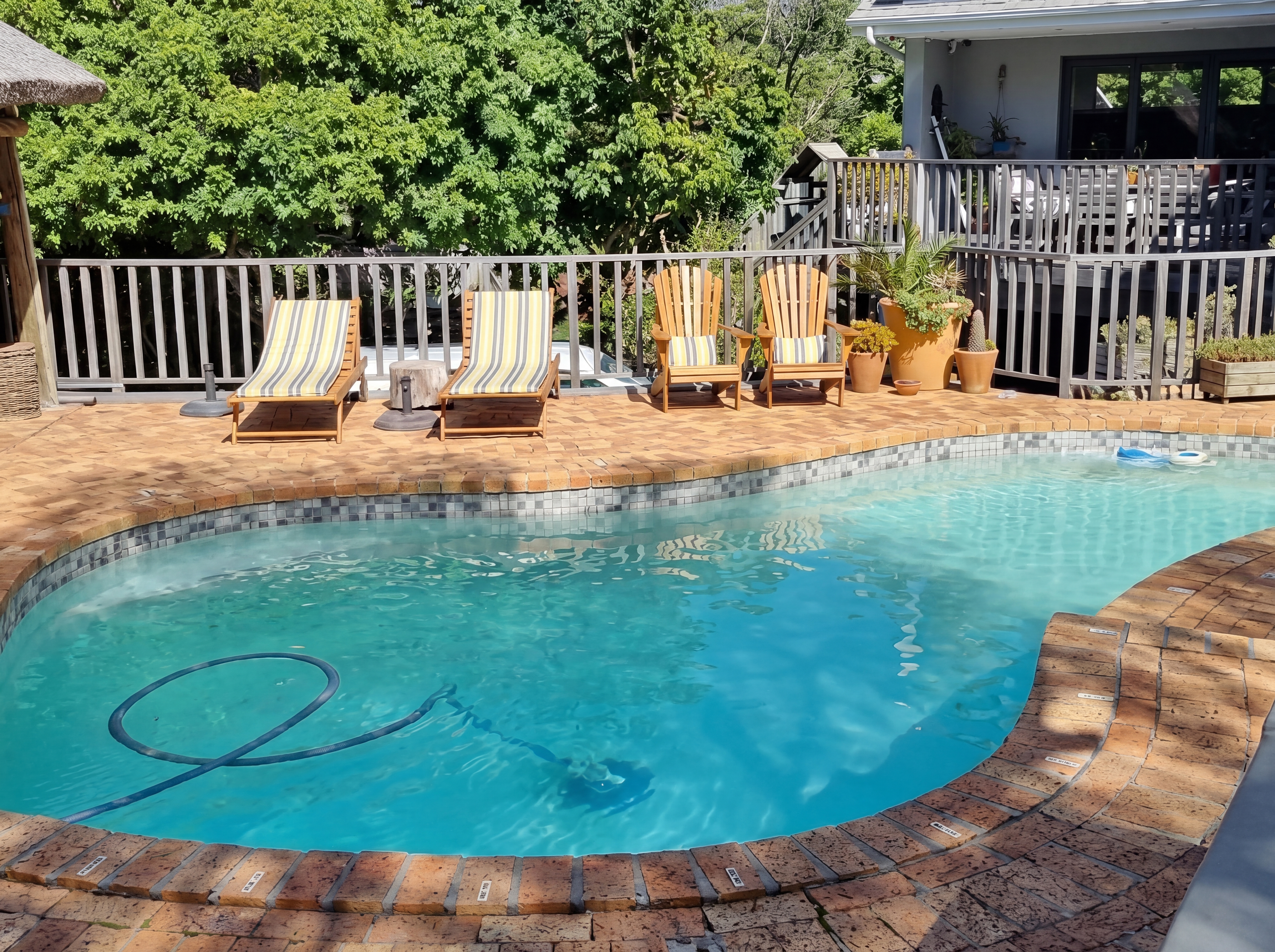 Swimming pool with lounge chairs surrounded by greenery and a house in the background