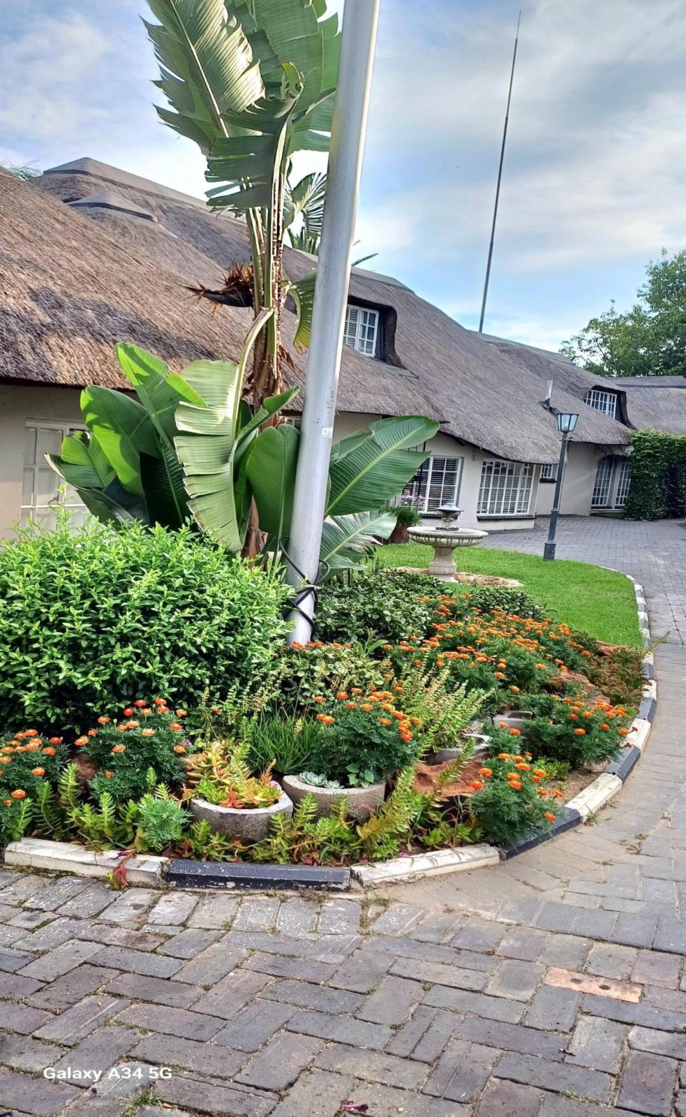 Garden view