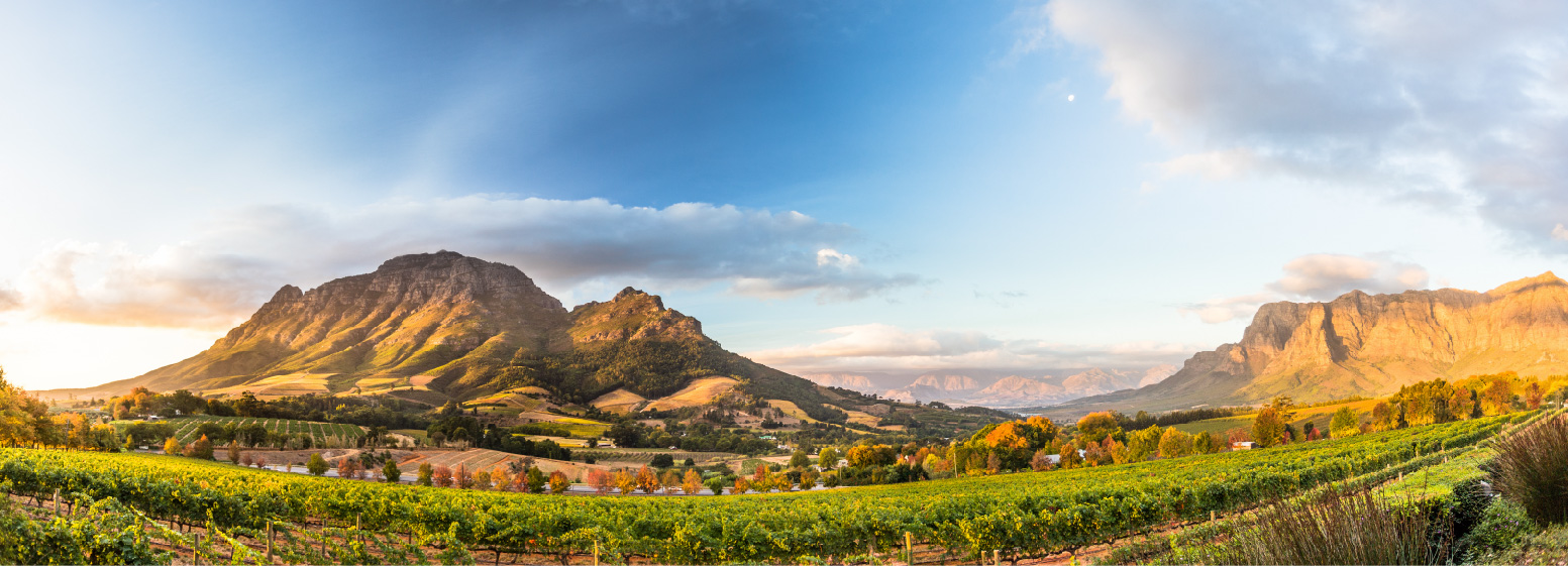 Pinotage Luxury Collection