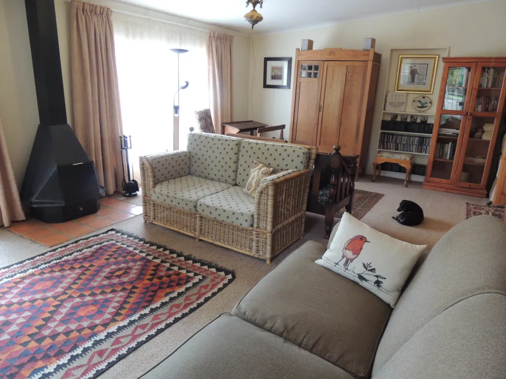 Cozy living room with a patterned rug sofas and a cat sleeping