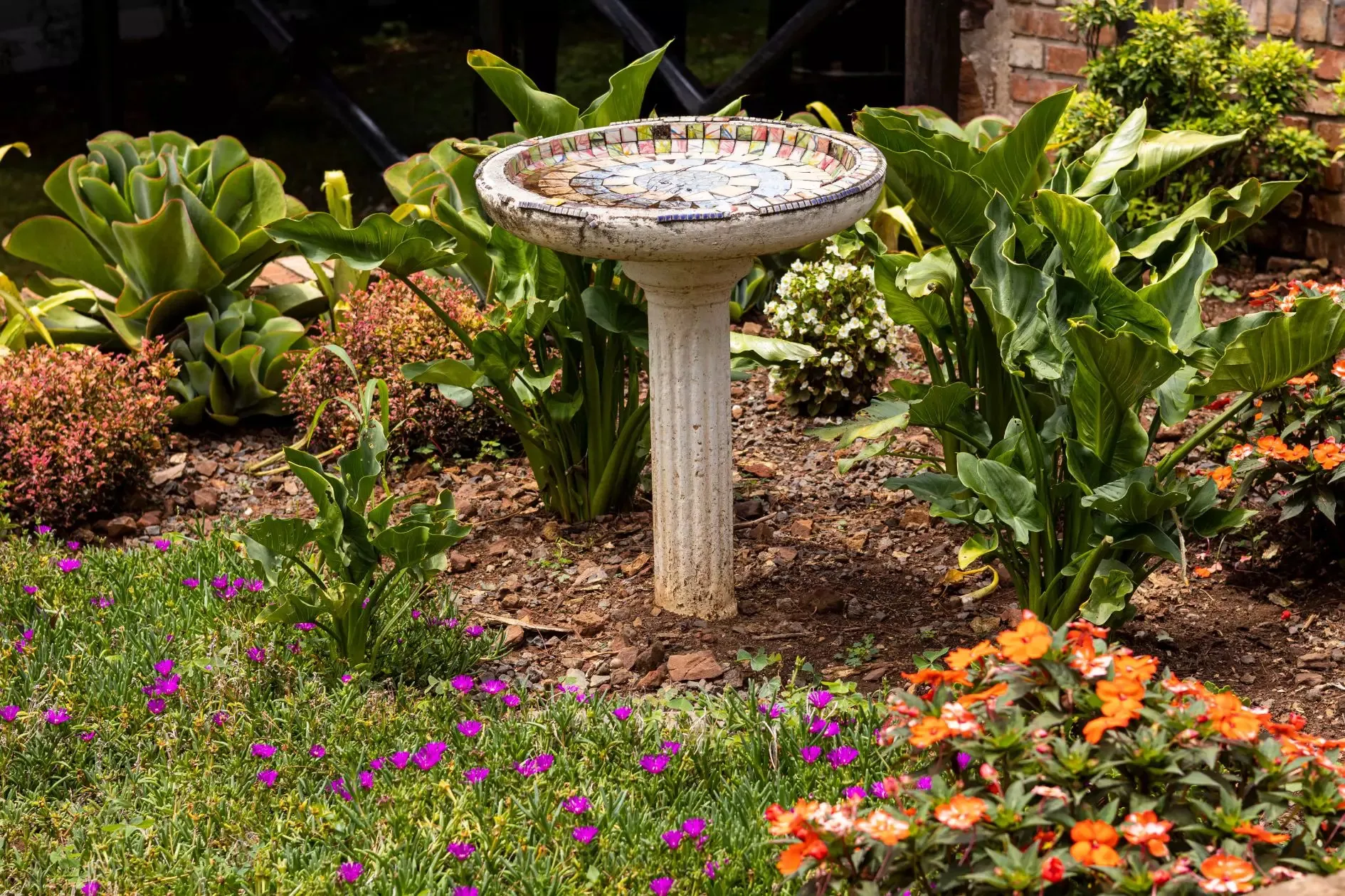 Birdbath in a garden surrounded by colorful flowers and green plants