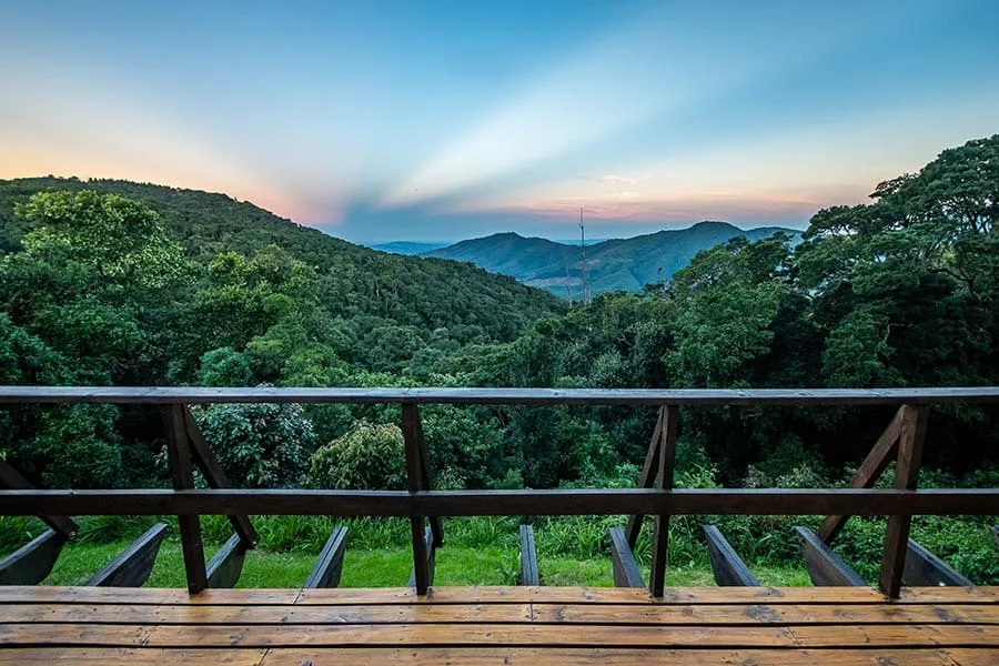 Wooden deck overlooking lush green forest and distant mountains under a clear sky