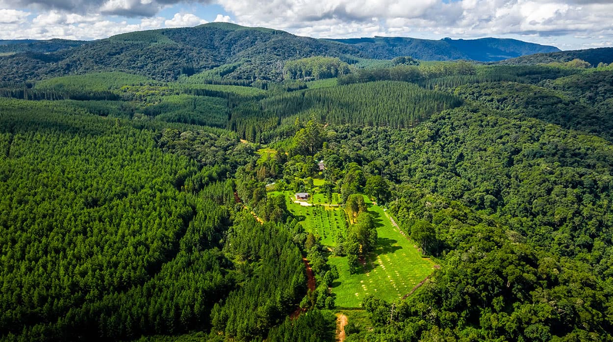 Kuhestan Organic Farm