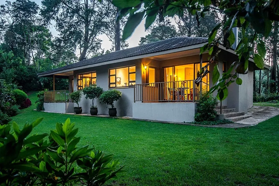 Cozy house with lit windows surrounded by greenery at dusk