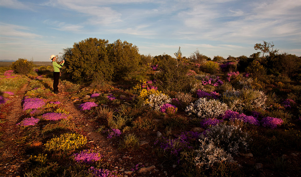 Swartberg Experience