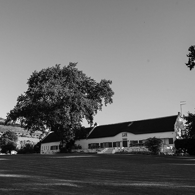 Taaibosch Collection