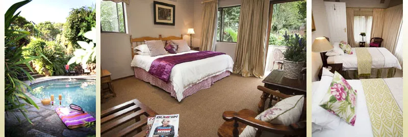 Three images showing a pool a bedroom with a purple bed and another bedroom