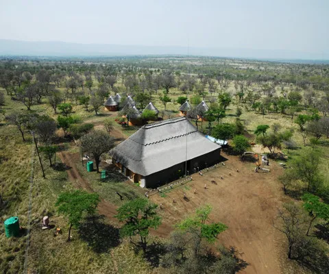 Traditional huts in a rural setting with a dirt road and sparse trees