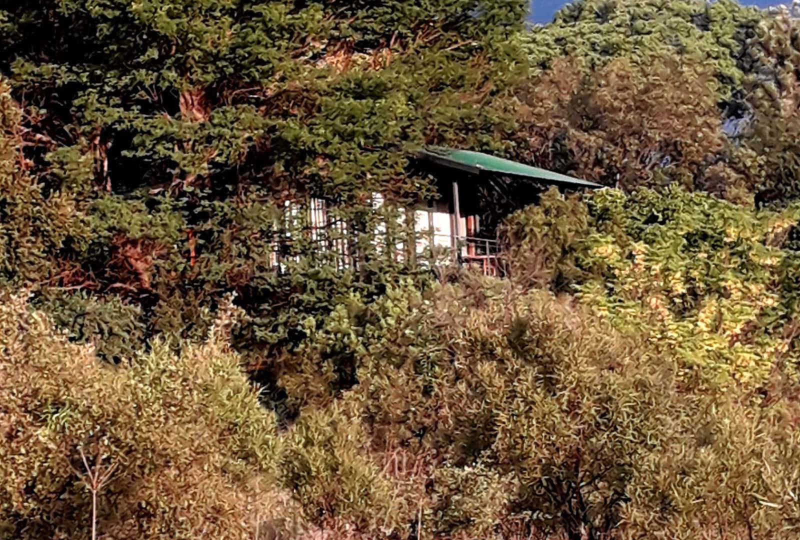Tree Tops Guest Farm