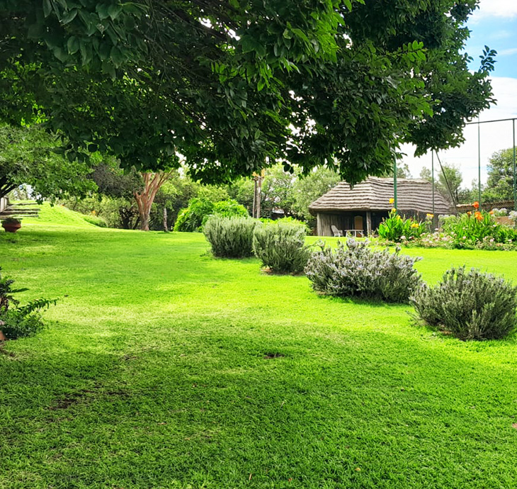 Tree Tops Guest Farm