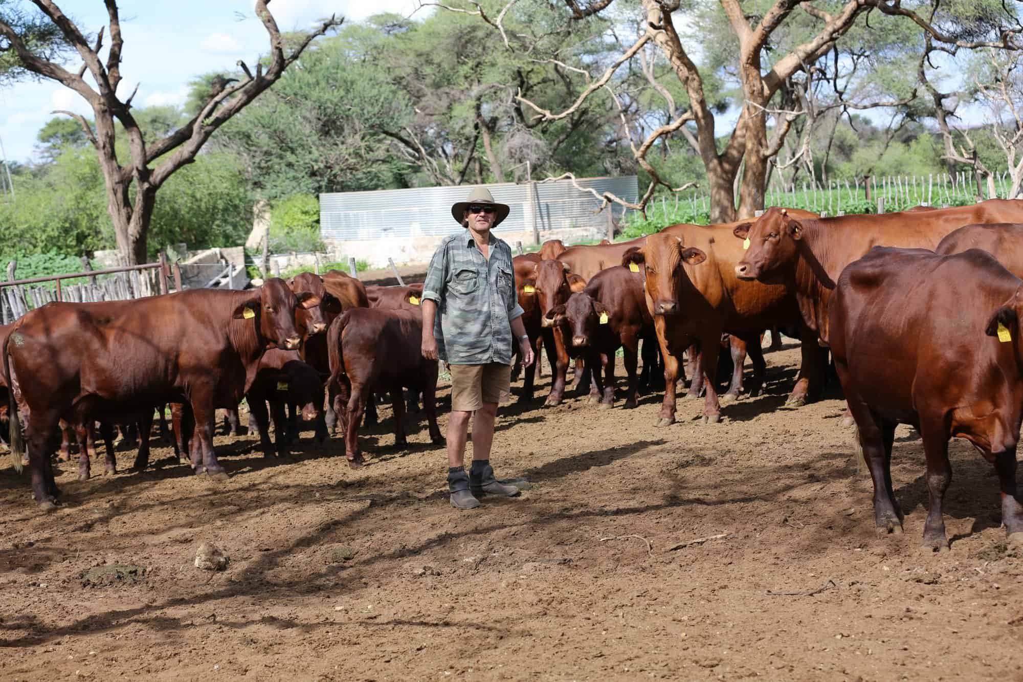 Waterberg Guesthouse