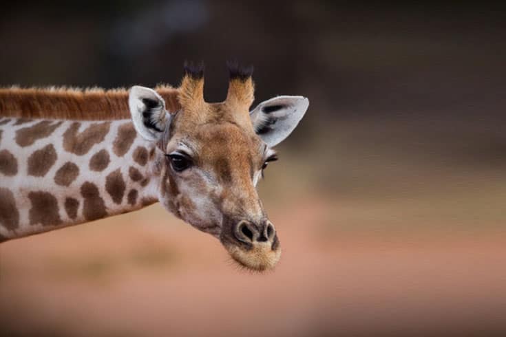 Waterberg Guesthouse