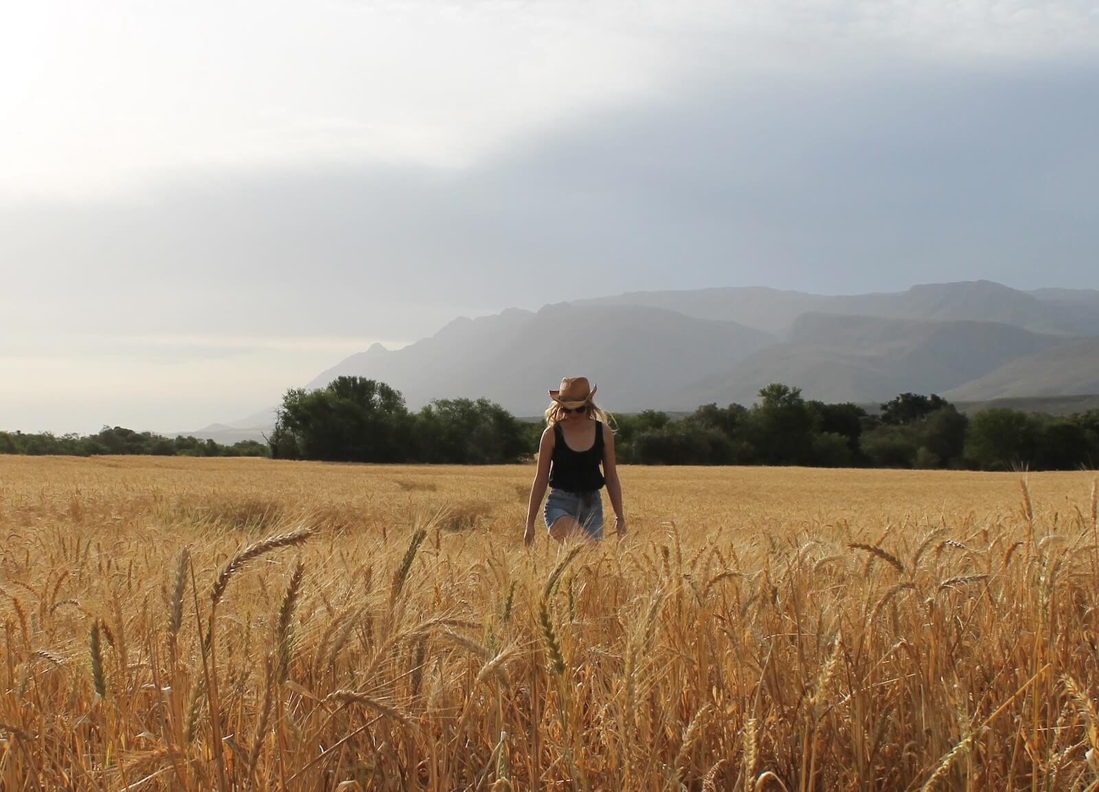 Bontebokskloof Manor & Valley Cottages