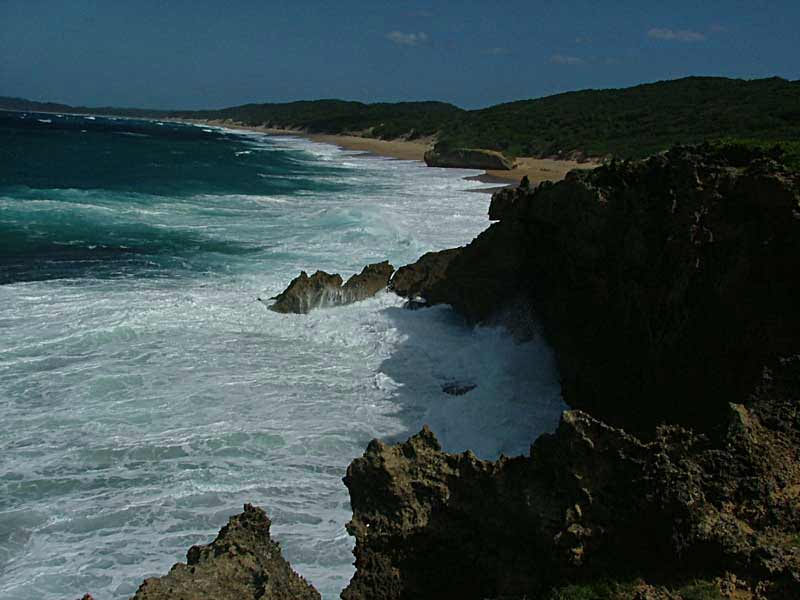 Maputaland Lodge