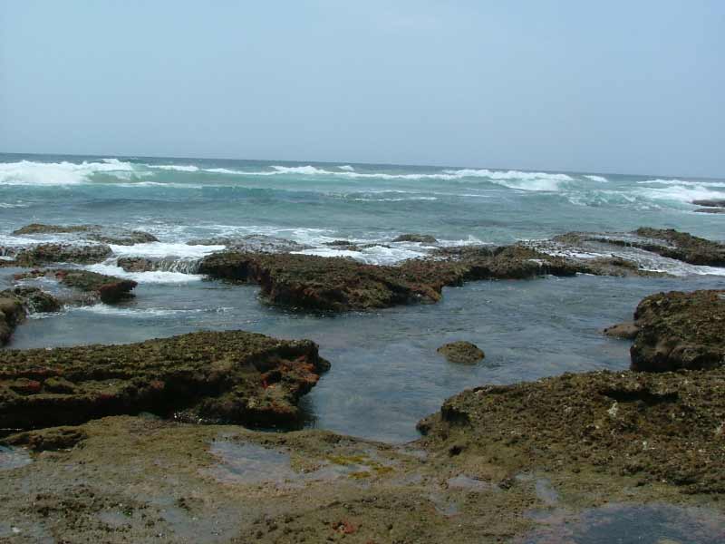 Maputaland Lodge