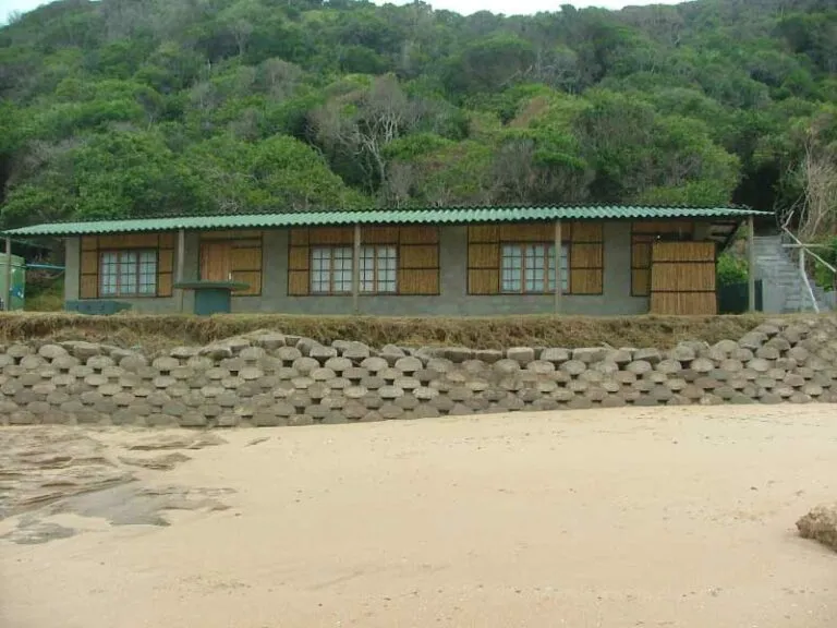 Beachfront building with green roof and forested hillside in background
