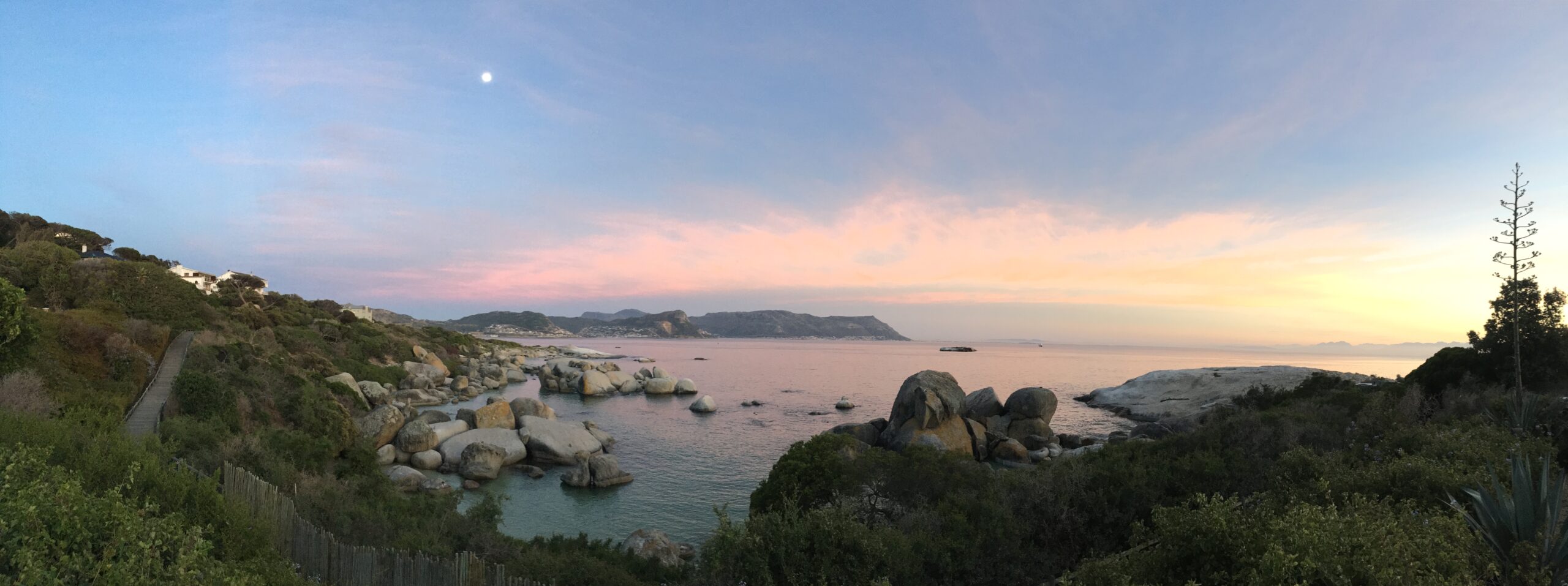 Bosky Dell on Boulders Beach