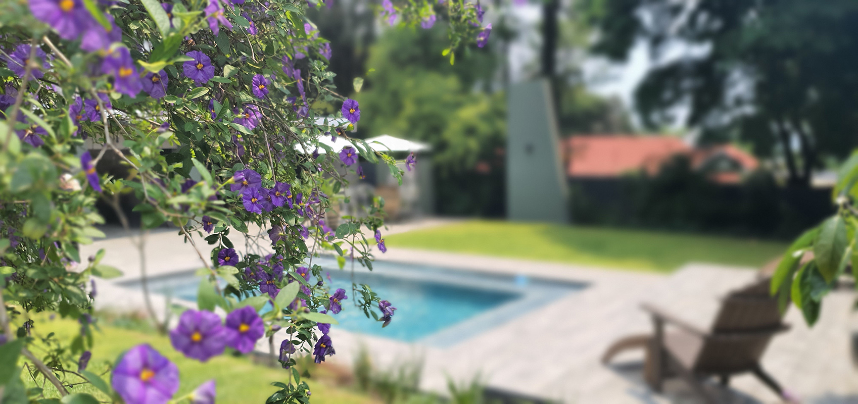 The Guesthouse – 6 on Vrede