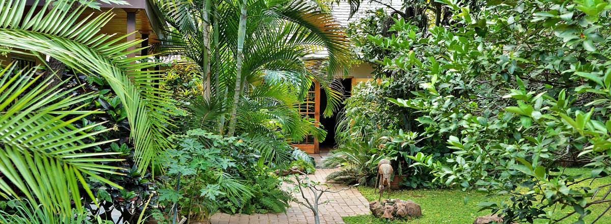 Kasane Self-Catering