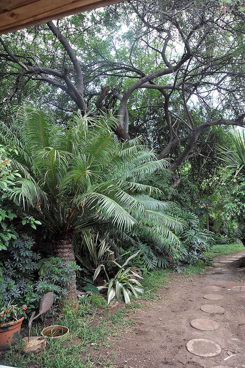 Kasane Self-Catering