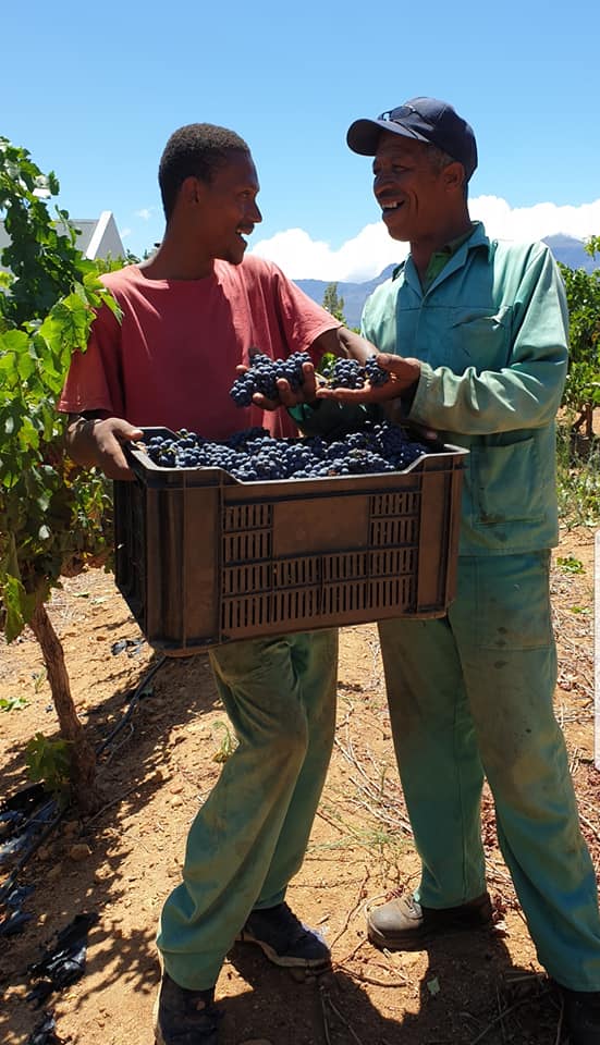 Diemersfontein Wine & Country Estate