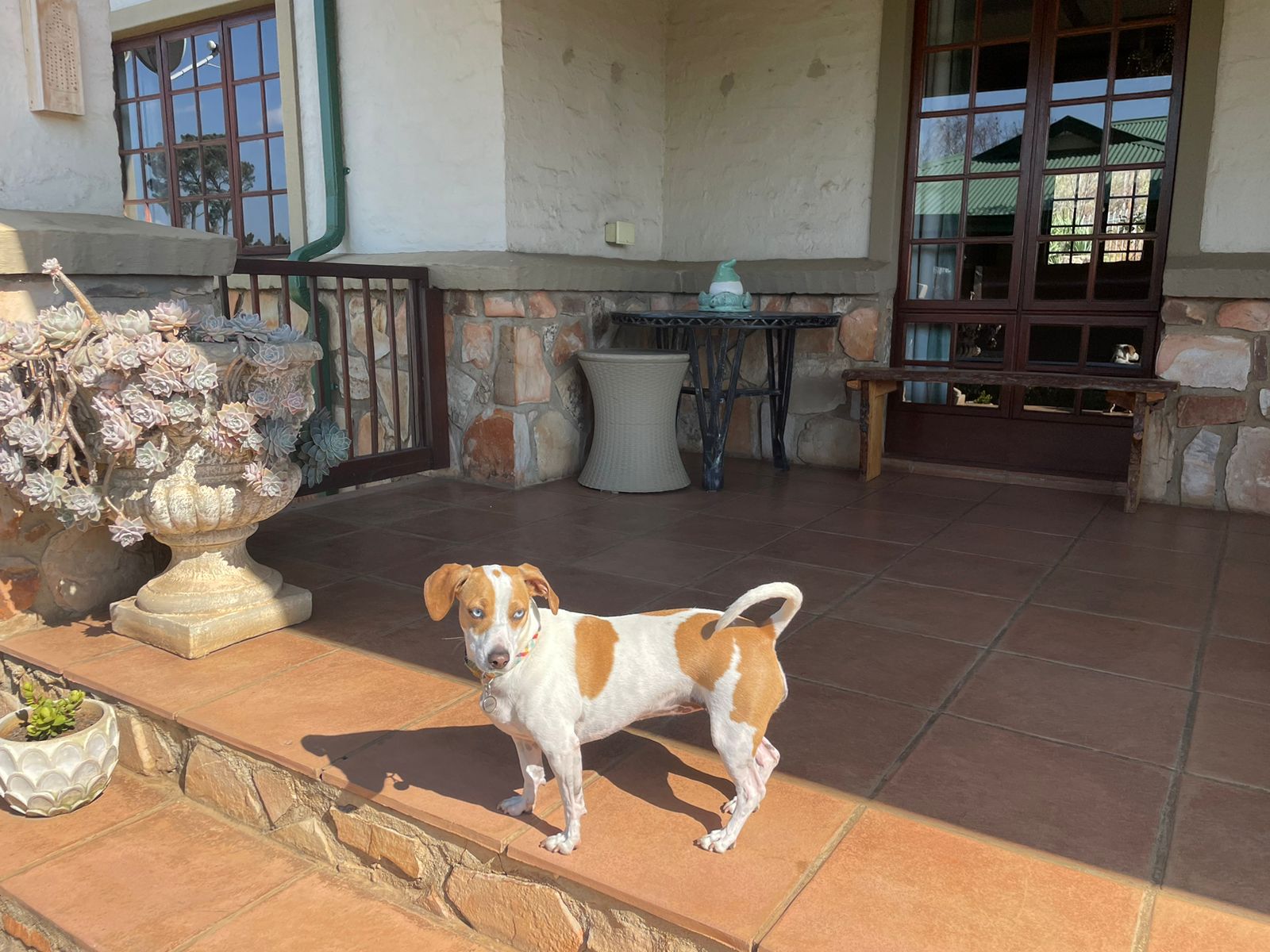 Cinzaco Dullstroom