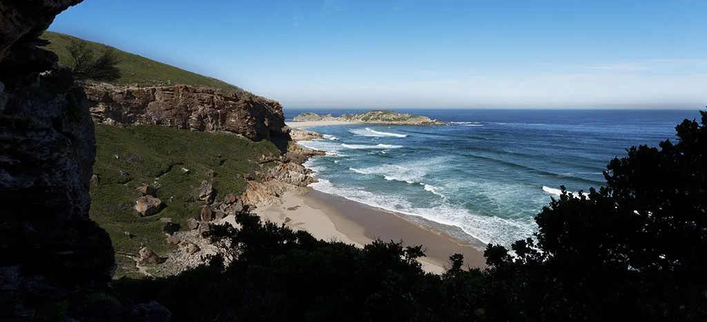 Coastal cliff with green vegetation overlooking a sandy beach and blue ocean waves