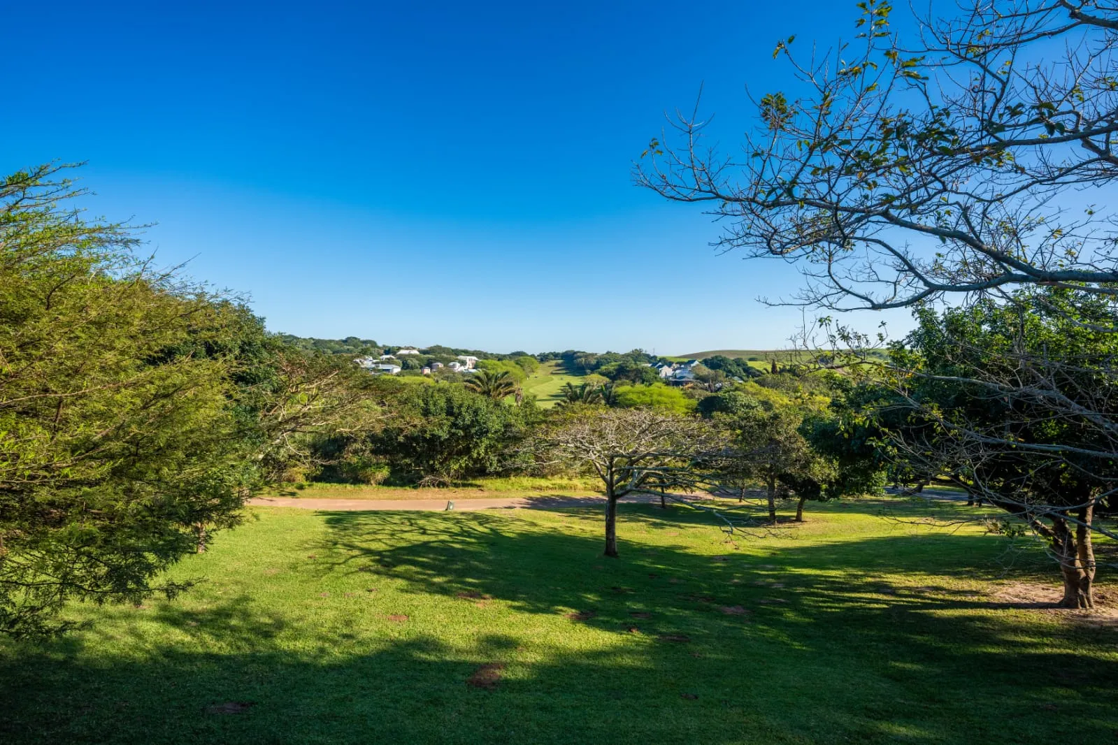 Green park with trees under a clear blue sky distant houses visible