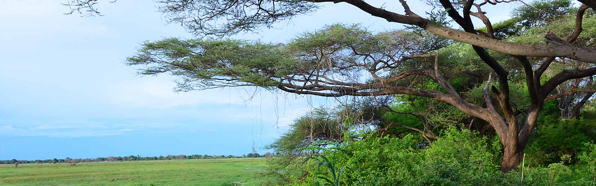 Muchenje Campsite & Cottages