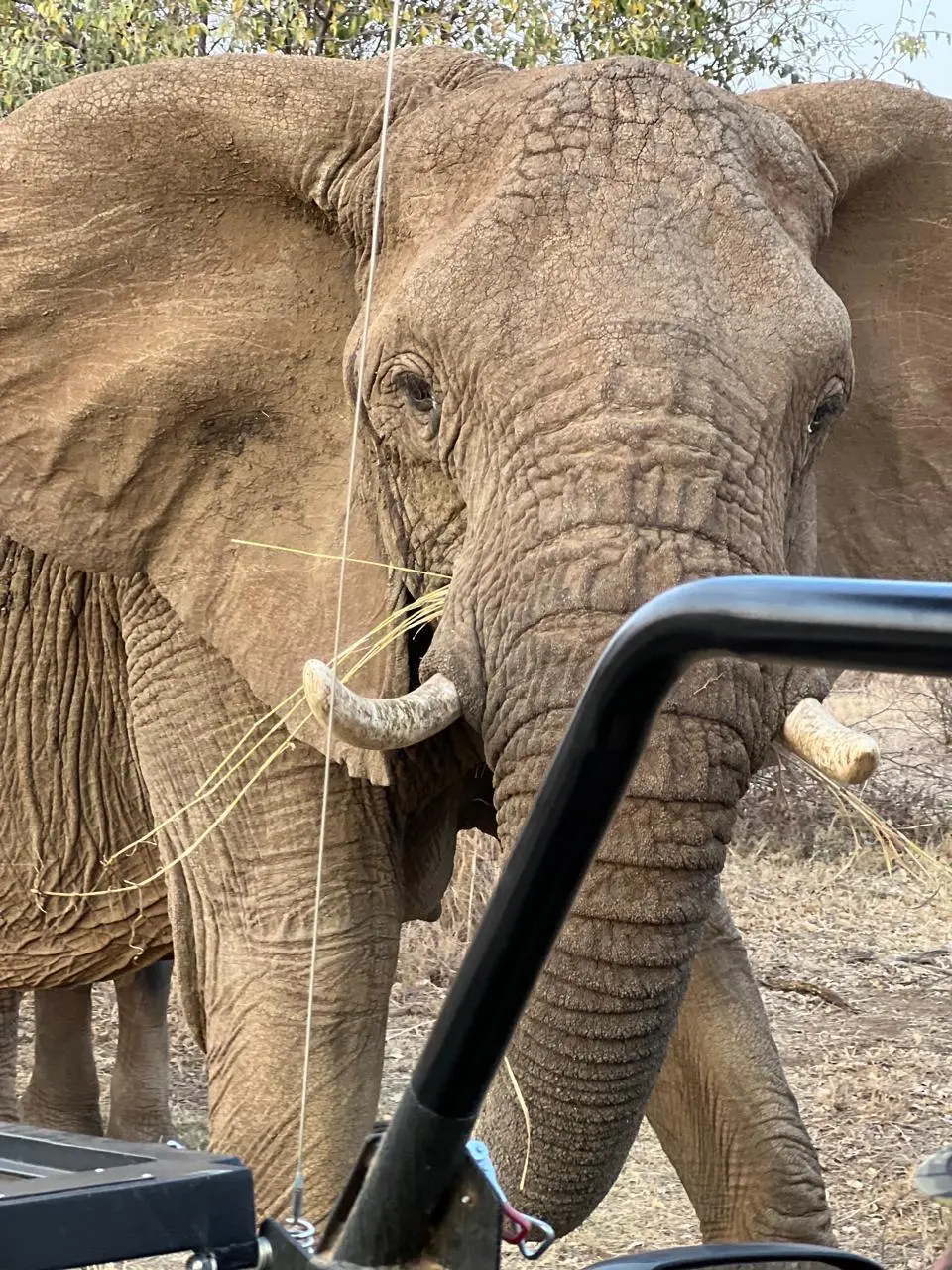 Gweda Lodge in Johannesburg 2
